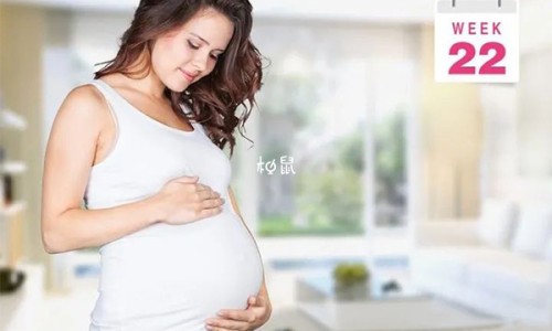 吸雷针-吸雷散的功效网 - 为你提供雷击散的功效与作用、吸雷针
